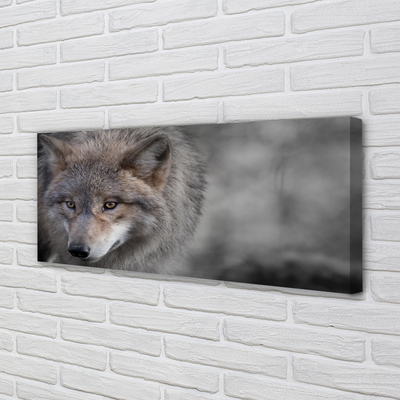 Obraz na płótnie Portret Wilka