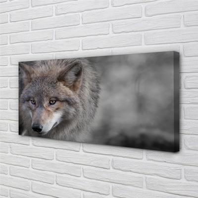 Obraz na płótnie Portret Wilka