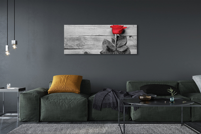 Obraz na płótnie Pojedyncza Czerwona Róża