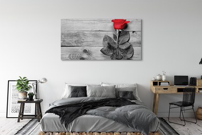 Obraz na płótnie Pojedyncza Czerwona Róża