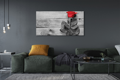 Obraz na płótnie Róża