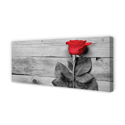 Obraz na płótnie Pojedyncza Czerwona Róża