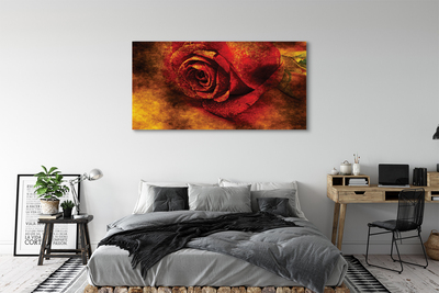 Obraz na płótnie Róża obraz
