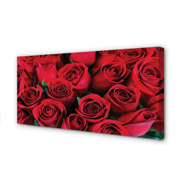Duży obraz na płótnie Rozkwit Czerwonych Róż