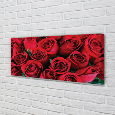 Duży obraz na płótnie Rozkwit Czerwonych Róż