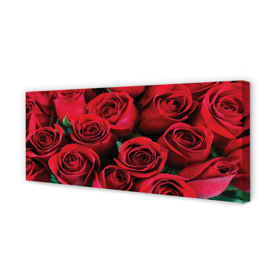 Duży obraz na płótnie Rozkwit Czerwonych Róż