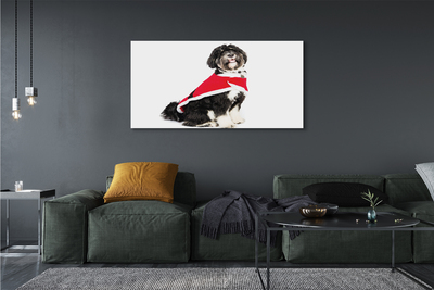 Obraz na płótnie Wierny Pies