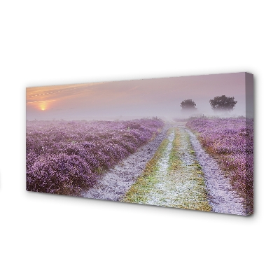 Obraz na płótnie Pole Wrzosów