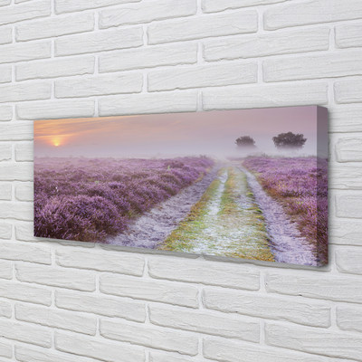 Obraz na płótnie Pole Wrzosów