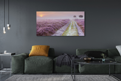 Obraz na płótnie Pole Wrzosów