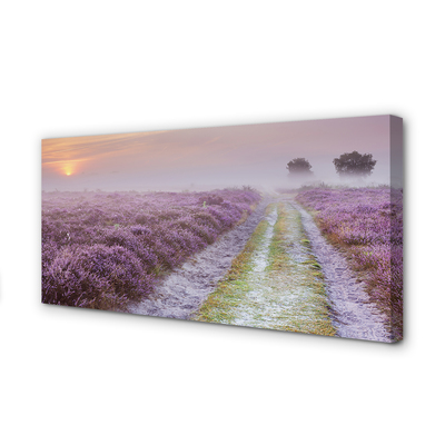 Obraz na płótnie Pole Wrzosów