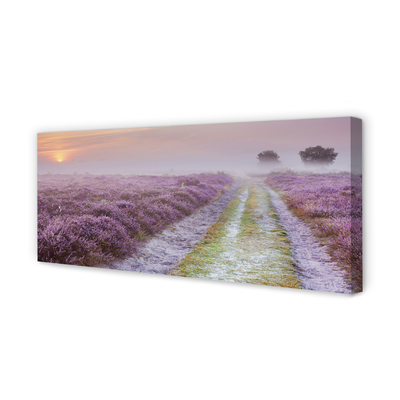 Obraz na płótnie Pole Wrzosów