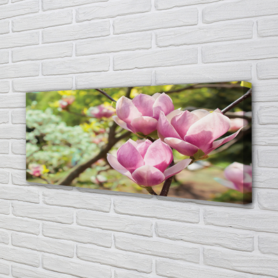 Obraz canvas na ścianę Drzewa Magnolii