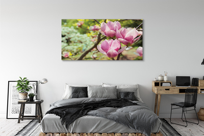 Obraz canvas na ścianę Drzewa Magnolii