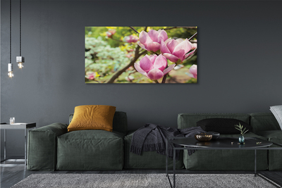 Obraz canvas na ścianę Drzewa Magnolii