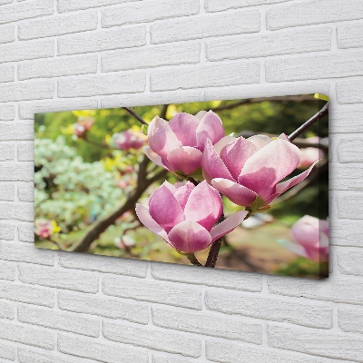 Obraz canvas na ścianę Drzewa Magnolii