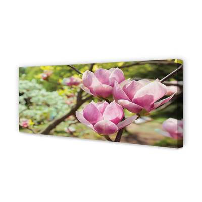 Obraz canvas na ścianę Drzewa Magnolii