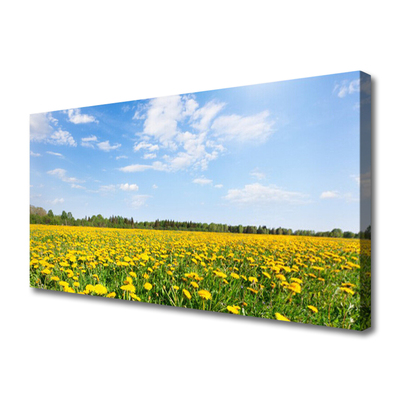 Obraz na płótnie Słoneczna Łąka Mniszków