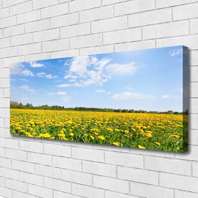 Obraz na płótnie Słoneczna Łąka Mniszków