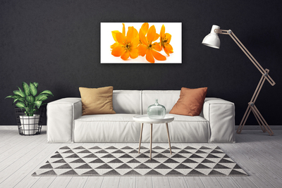 Obraz na Płótnie Pomarańczowe Roślina Kwiaty