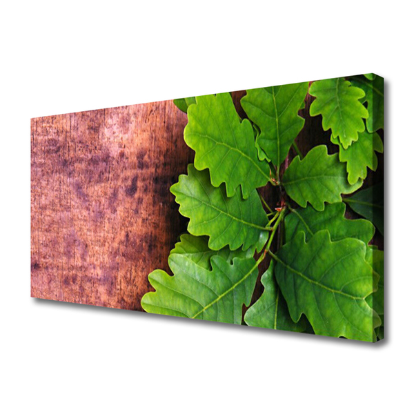 Zdjęcie na płótnie Szlachetne Liście Dębu