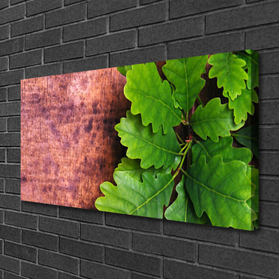 Zdjęcie na płótnie Szlachetne Liście Dębu