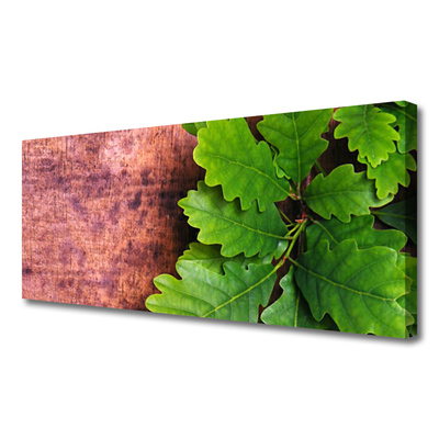 Zdjęcie na płótnie Szlachetne Liście Dębu