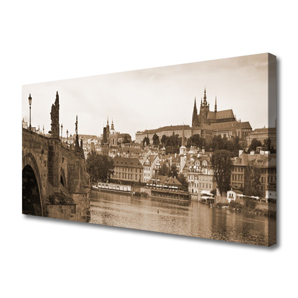 Obraz na Płótnie Praga Most Krajobraz