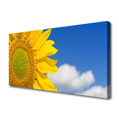 Fotoobraz na płótnie Słonecznik pod Letnim Niebem