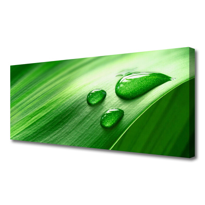 Duży obraz na płótnie Perlista Rosa na Liściu