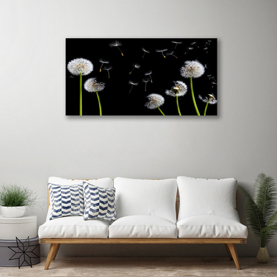 Zdjęcie na płótnie Puszysty Mniszek Lekarski