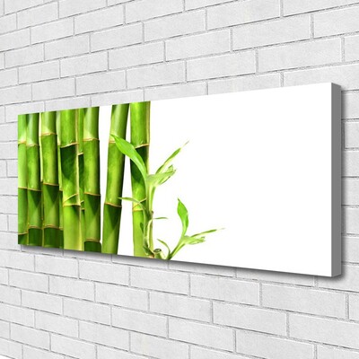 Obraz na Płótnie Bambus Roślina