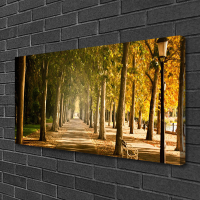 Obraz na płótnie Romantyczna Parkowa Alejka