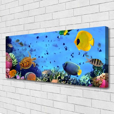 Obraz na płótnie Podwodny Świat Rafy Koralowej