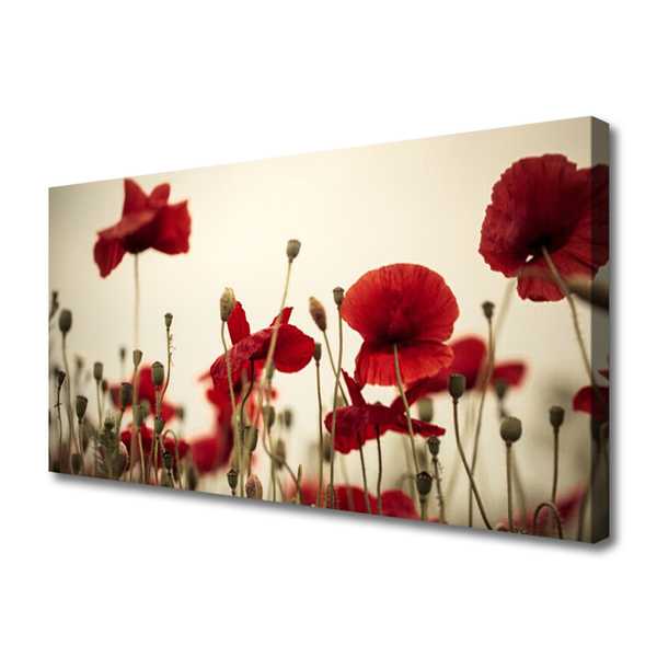 Obraz na płótnie Polne Maki w Rozkwicie