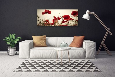 Obraz na płótnie Polne Maki w Rozkwicie