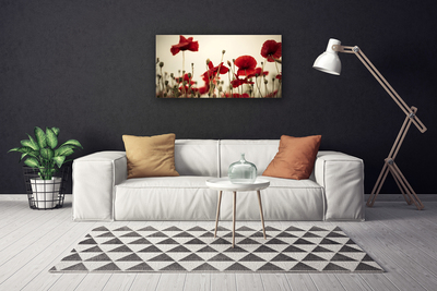 Obraz na płótnie Polne Maki w Rozkwicie