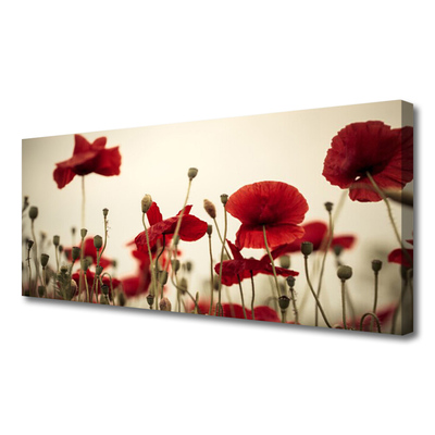 Obraz na płótnie Polne Maki w Rozkwicie