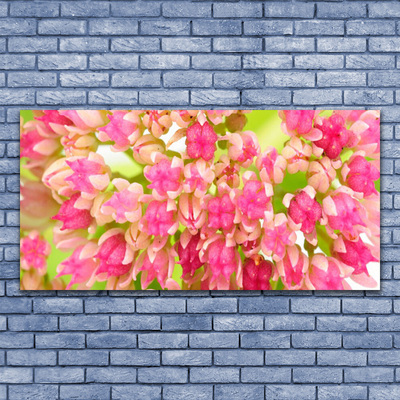 Fotoobraz na płótnie Subtelny Kwiat Lotosu