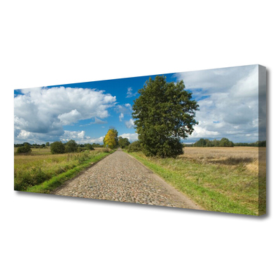 Obraz na płótnie Wiejska Droga z Kostki