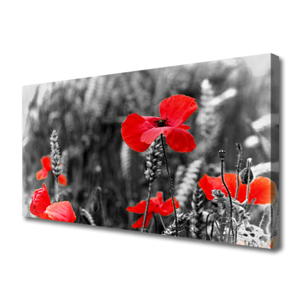 Obraz na płótnie Klasyczne Czerwone Maki