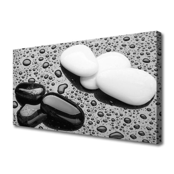 Obraz na płótnie Deszcz na Gładkich Kamieniach