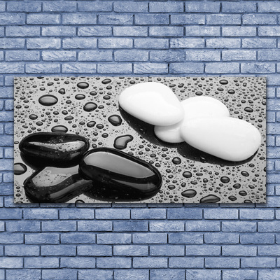 Obraz na płótnie Deszcz na Gładkich Kamieniach