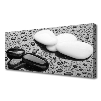 Obraz na płótnie Deszcz na Gładkich Kamieniach