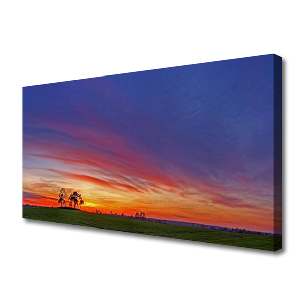 Fotoobraz na płótnie Sielski Krajobraz Polny