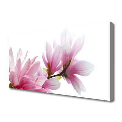 Obraz na Płótnie Magnolia Kwiat
