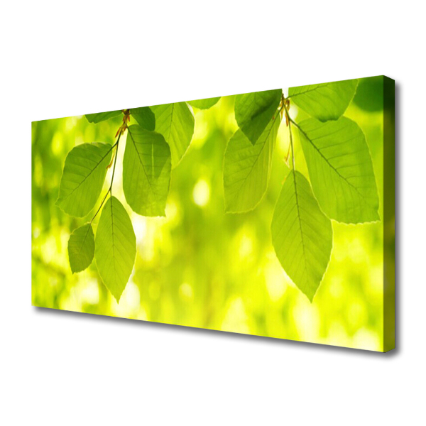 Obraz na płótnie Zielone Liście w Stylu Modern
