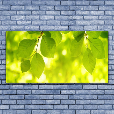 Obraz na płótnie Zielone Liście w Stylu Modern