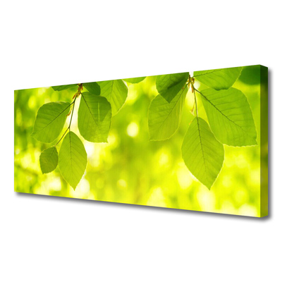 Obraz na płótnie Zielone Liście w Stylu Modern
