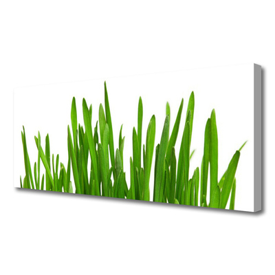 Obraz na płótnie Soczysta Trawa - Detal